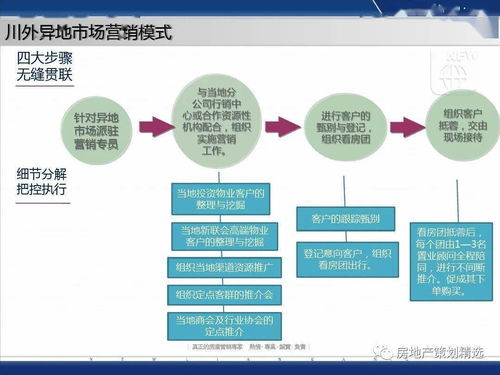 策划 成都蓝光地产观岭国际营销方案报告PPT